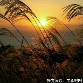 爱的箴言的优美句子