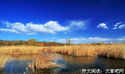 渗入漫延名句欣赏
