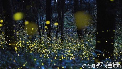 诗一句，词一首