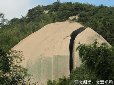 想天松的句子