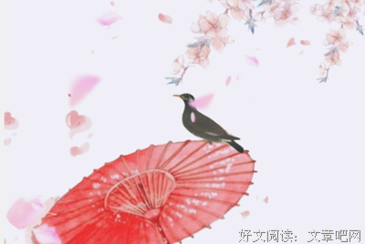 w随w优美的句子