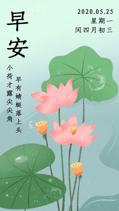 关于哲言的优美句子