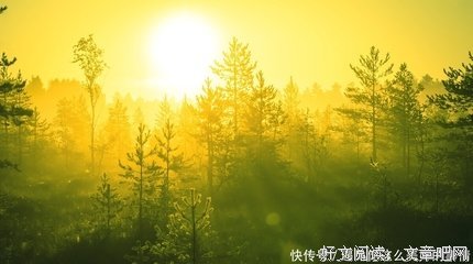 关于撰。囈墨的句子