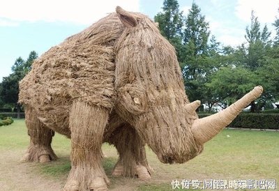 最全的犀牛大哥的名言