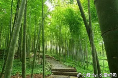 《殇与殉》的句子