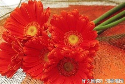 我可能不他向只实比子爱你名句欣赏