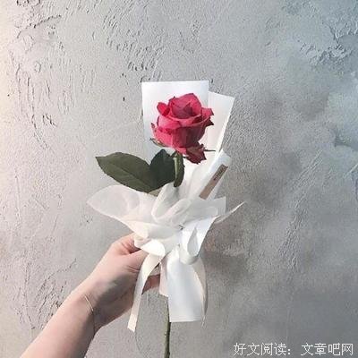 爱玲的格调的句子