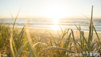论罪恶句子大全