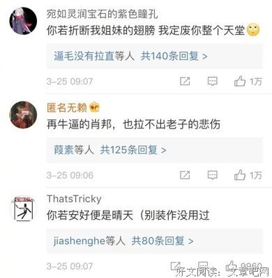 关于葬爱。的优美句子