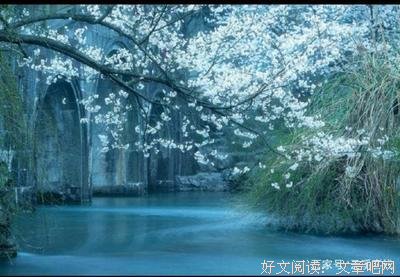 关于共可种月天岁桑麻的句子