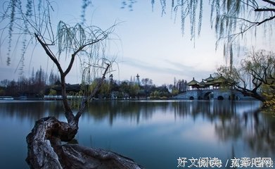淡爱名句欣赏