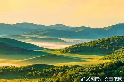 《青春是一本仓促的书，我们流着泪一读再读》读后感1000字