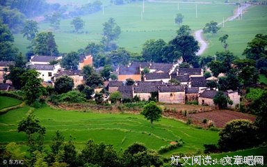 最新的《寒风吹彻》小说句子