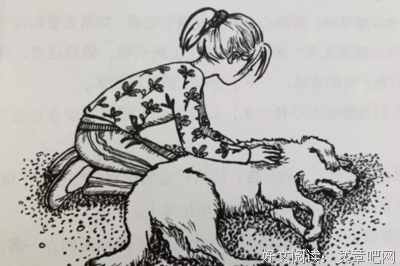 《小狗钱钱》经典句子