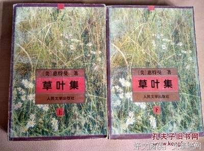 草叶集的读后感大全