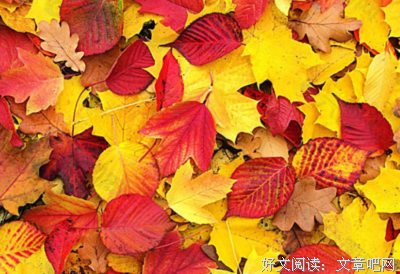 翩翩起舞的语句摘抄_关于翩翩起舞的语句