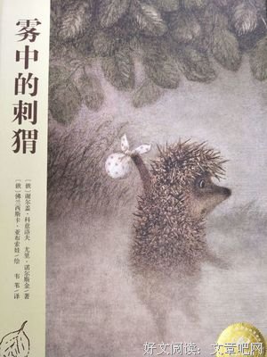 《刺猬进村》读后感1000字