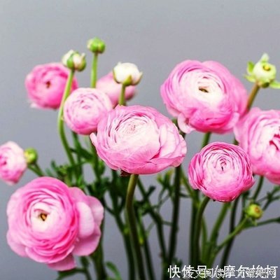 描写独当一面的经典句子