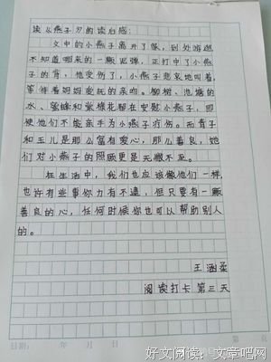 《燕子最后飞去了哪里》读后感精选