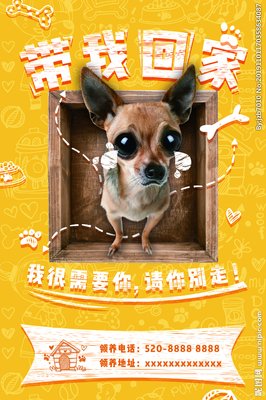 《今晚带我回家》经典观后感集