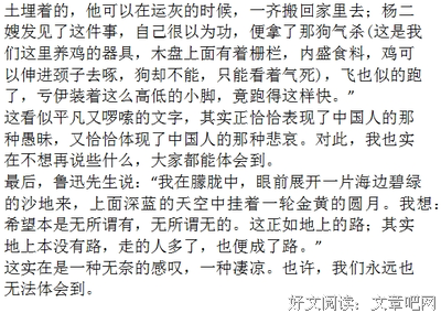 《追故乡的人》的读后感大全