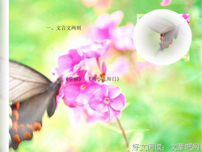 专心致志的句子