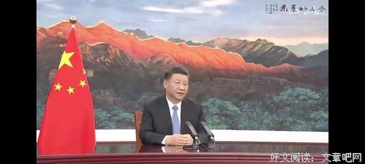 世界的苦难读后感锦集