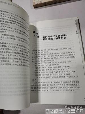 《别了，温哥华》观后感摘抄