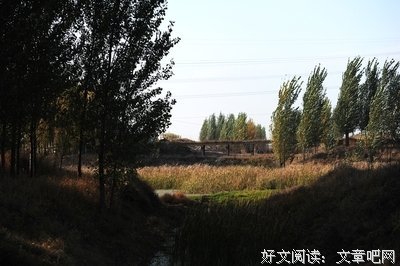 一草一木格言警句