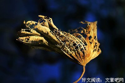 浅墨诗韵