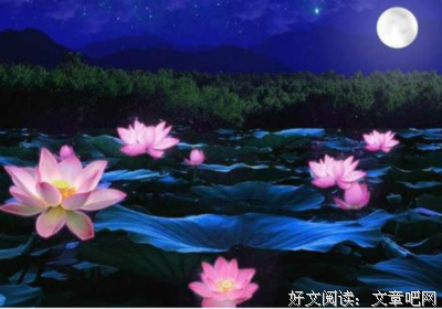 《娇娆》的句子