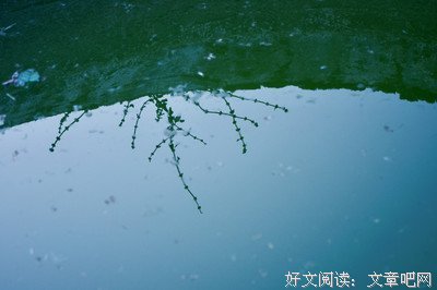 《谧》的句子