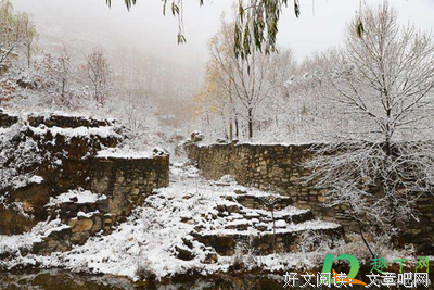 关于大雪纷飞的语句