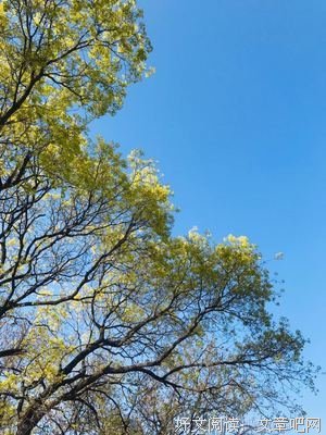 《山河袈裟》读后感1000字