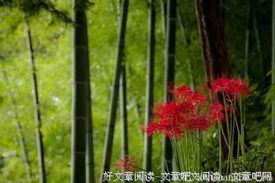 封语江湖读后感精选