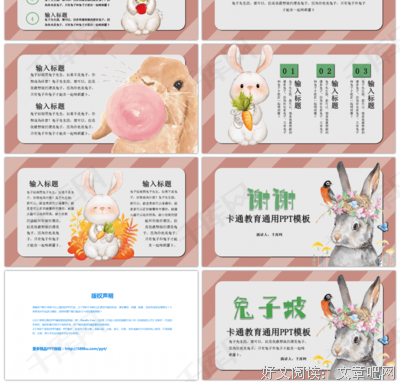 《兔子坡》读后感1000字