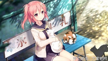 《山顶上的男孩》读后感摘抄