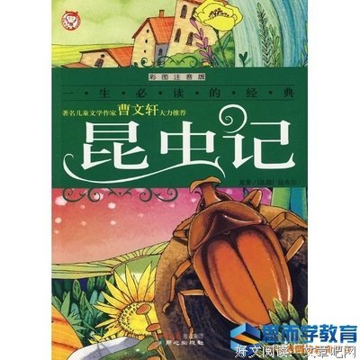 一份单纯的爱好词好句