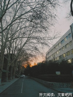白头如新（中国古代）句子