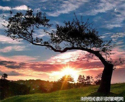 关于爱是毒药的优美句子