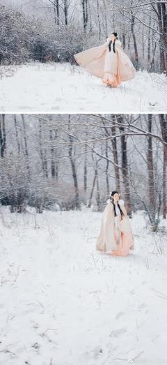 落梅如雪 香如故经典的句子