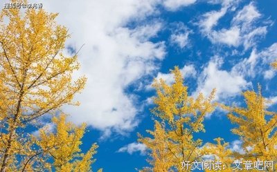 关于晴空的优美句子