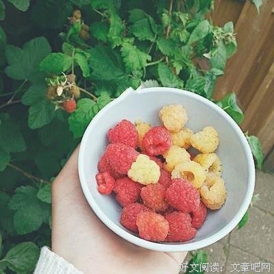 这就风有物地由经典的句子