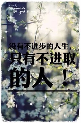 匆匆成子年的优美句子