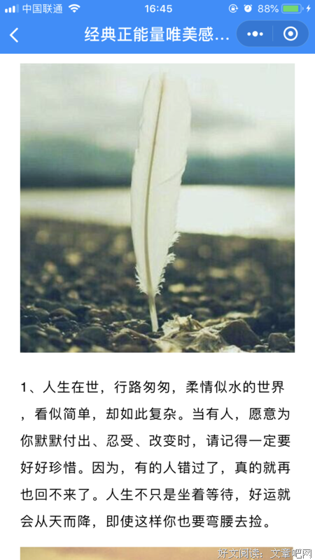 关于网易评论名言