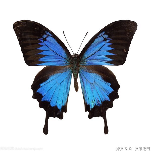 最经典的《尤利西斯》经典名句