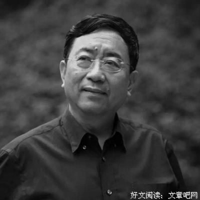 最新的《山居笔记》语录摘抄