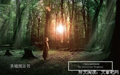 《圣境预言书》读后感摘抄