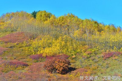 晚风如诉读后感精选