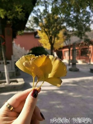 不胜枚举的句子